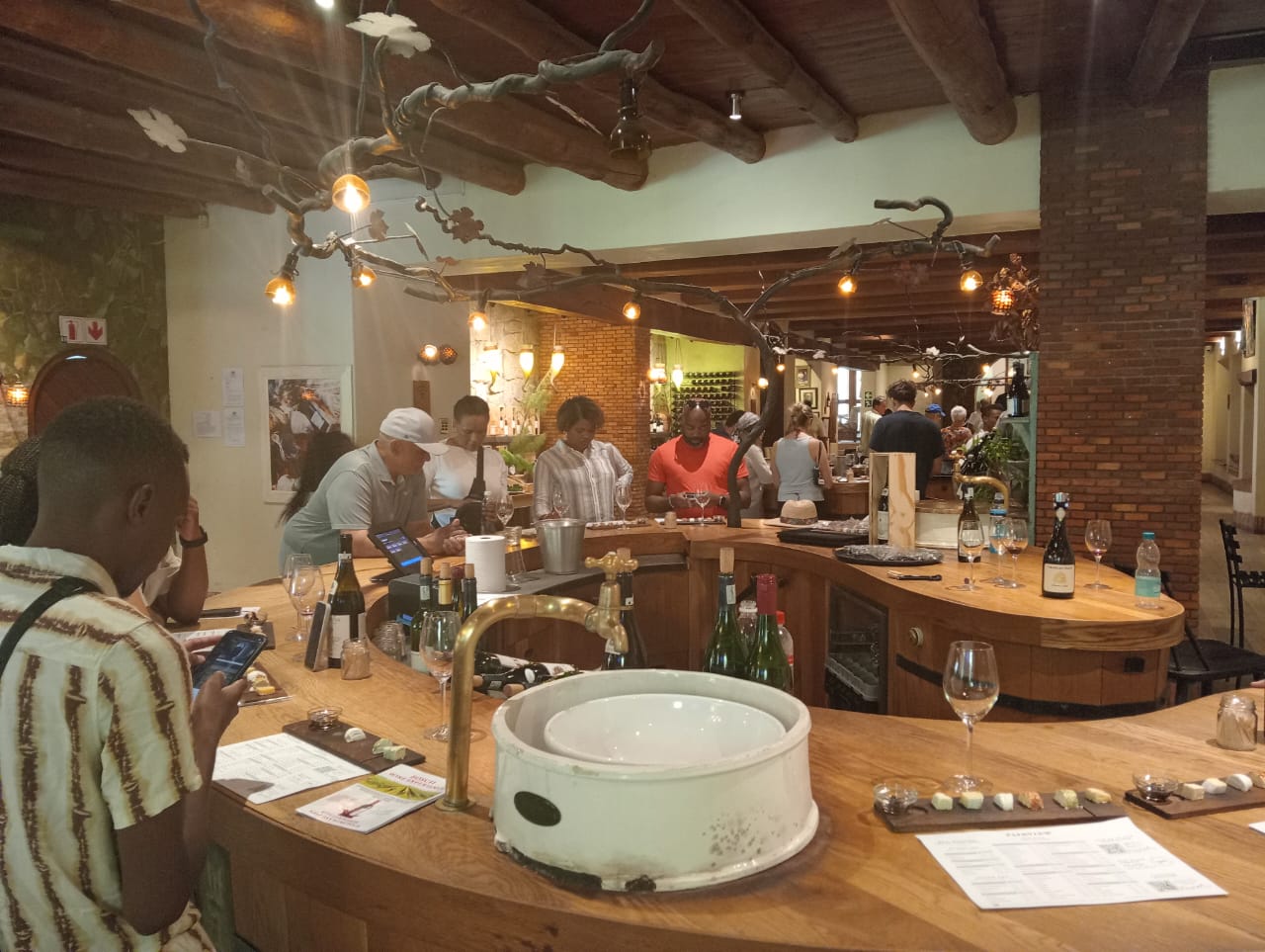 Winelands 1
